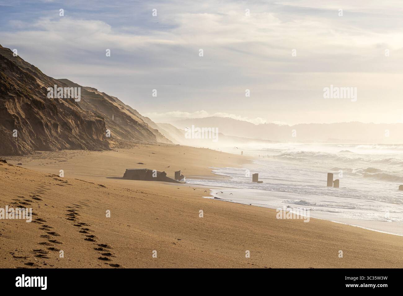 Parc d'État de Fort Ord Dunes, baie de Monterey, Californie. Côte le long de la plage de Fort Ord Dunes dans la baie de Monterey avec des oiseaux de mer sur le rivage et des vagues qui s'écrasent. Banque D'Images