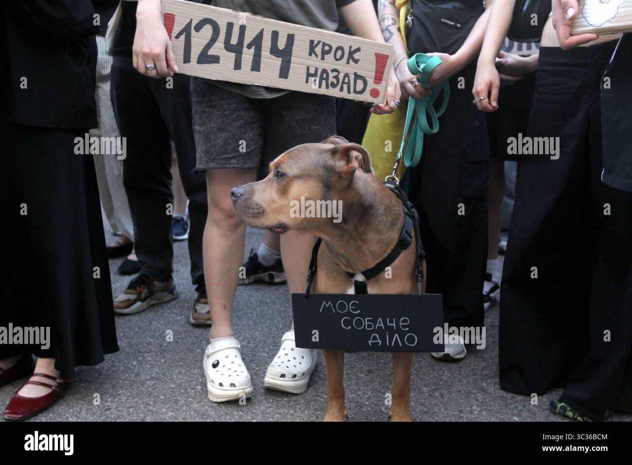 Non exclusif : un chien porte une pancarte indiquant « My Dog Business » lors d'une action de protestation contre le projet de loi N12414 adopté le 22 juillet, qui réduit le Banque D'Images