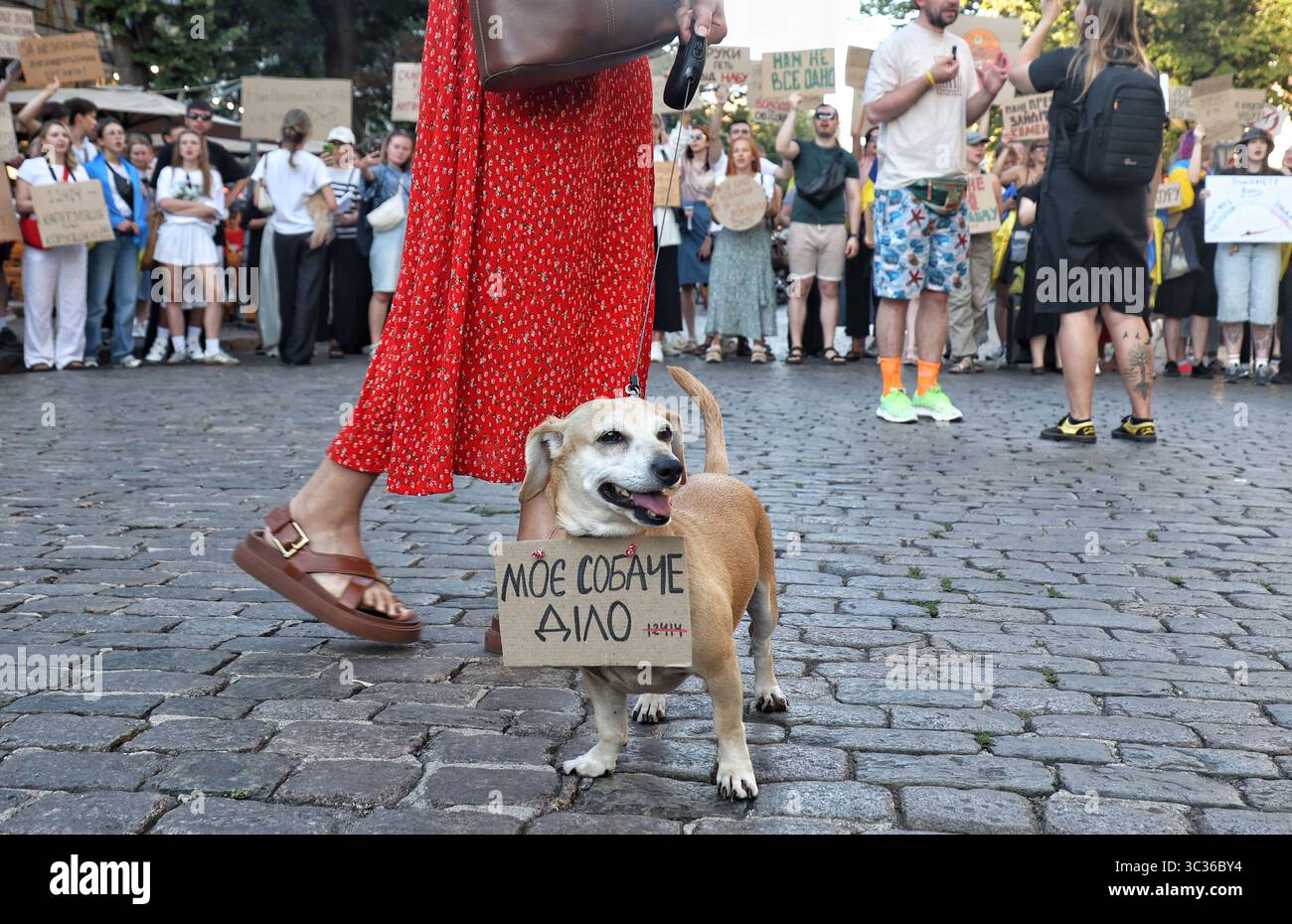Non exclusif : un chien porte une pancarte indiquant « My Dog Business » lors d'une action de protestation contre le projet de loi N12414 adopté le 22 juillet, qui réduit le Banque D'Images