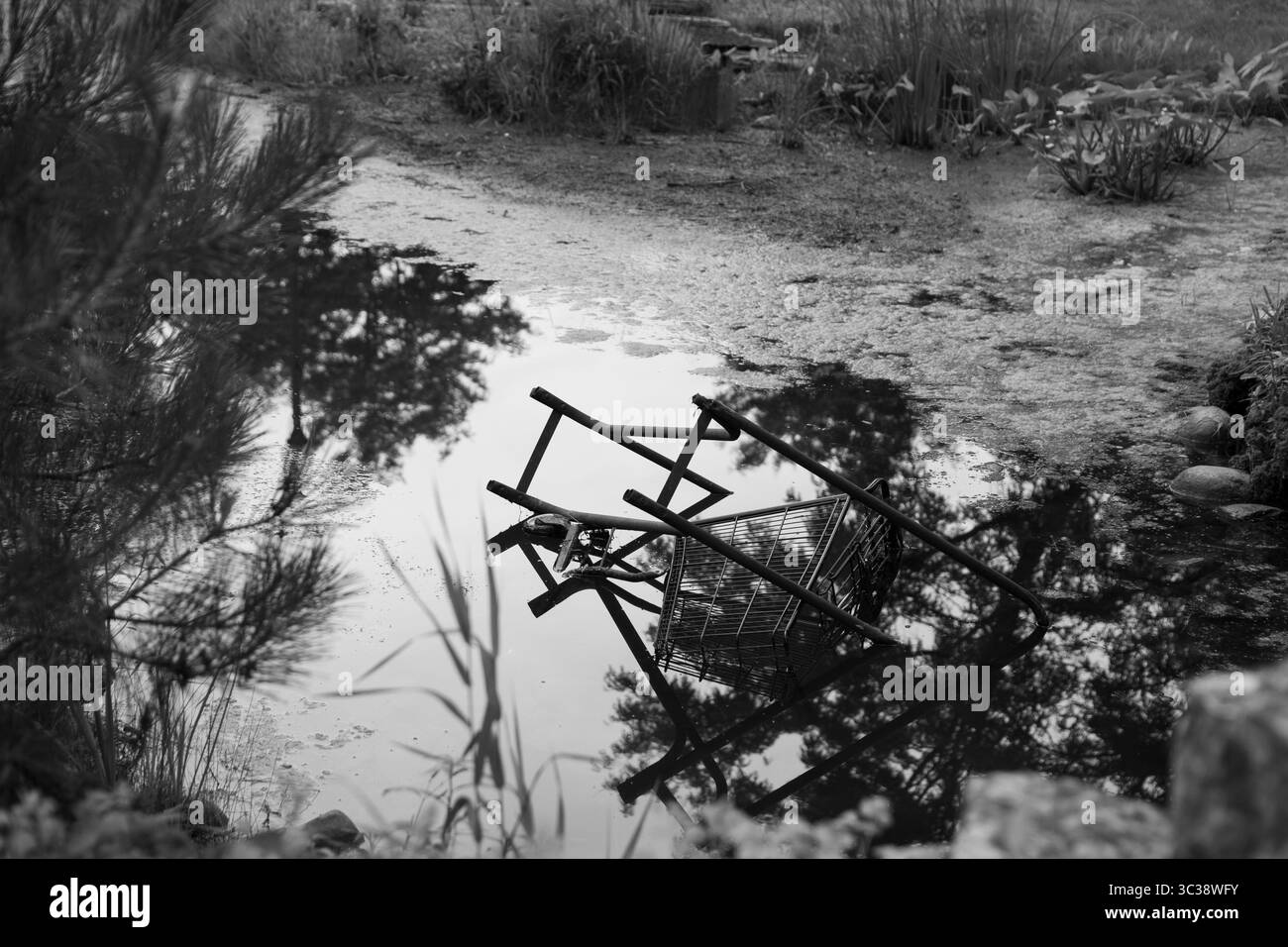 Panier abandonné dans un étang pollué – photo environnementale en noir et blanc Banque D'Images