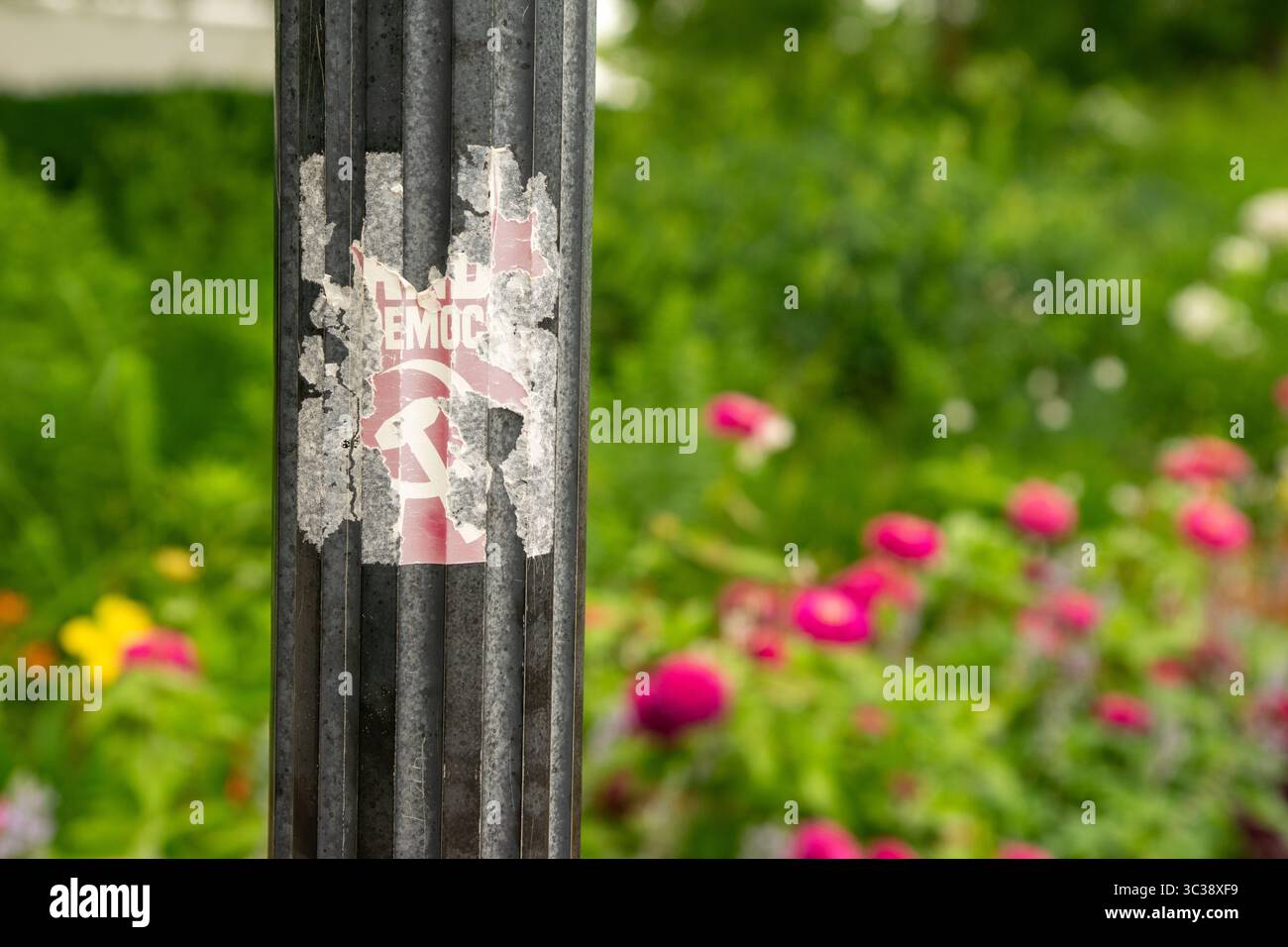 Autocollant politique patiné sur le pôle en métal urbain avec fond de jardin flou Banque D'Images