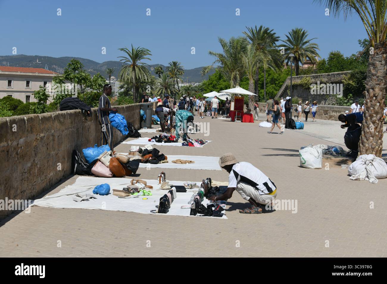 Looky les hommes Looky déposent leurs marchandises pour les vendre aux touristes à la cathédrale de Palma de Majorque Banque D'Images