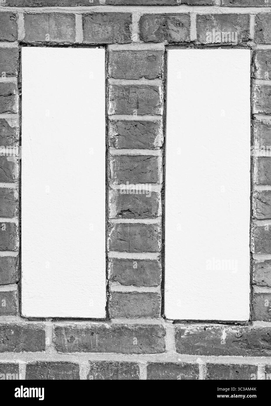 Photo symétrique face avant de deux panneaux verticaux en plâtre blanc encastrés dans un mur de briques monochromes. Banque D'Images Photo symétrique face avant de deux panneaux verticaux en plâtre blanc encastrés dans un mur de briques monochromes. Banque D'Images
