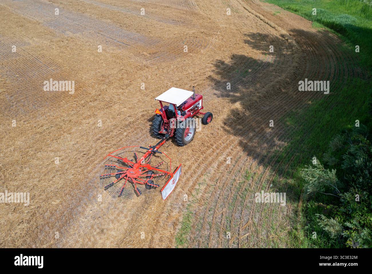 Wayland, Michigan - Un agriculteur utilise une faneuse rotative pour aérer sa récolte. Une faneuse répartit le foin ou la paille pour permettre un séchage plus rapide avant la mise en balles. Banque D'Images