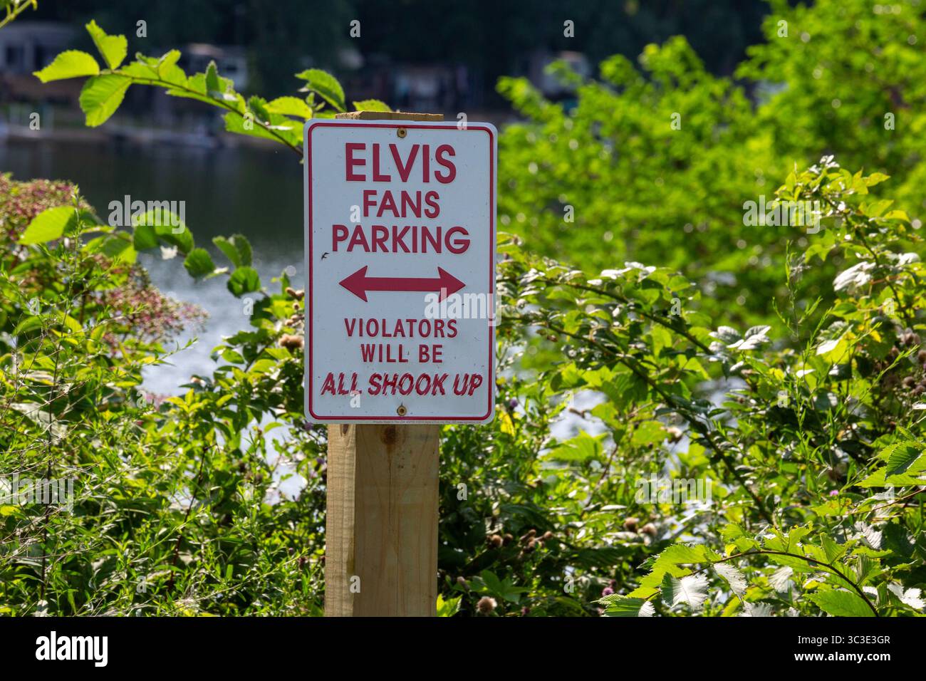 Shelbyville (Michigan) - Un panneau permet aux fans d'Elvis de stationner à un point d'accès au lac Selkirk. Banque D'Images