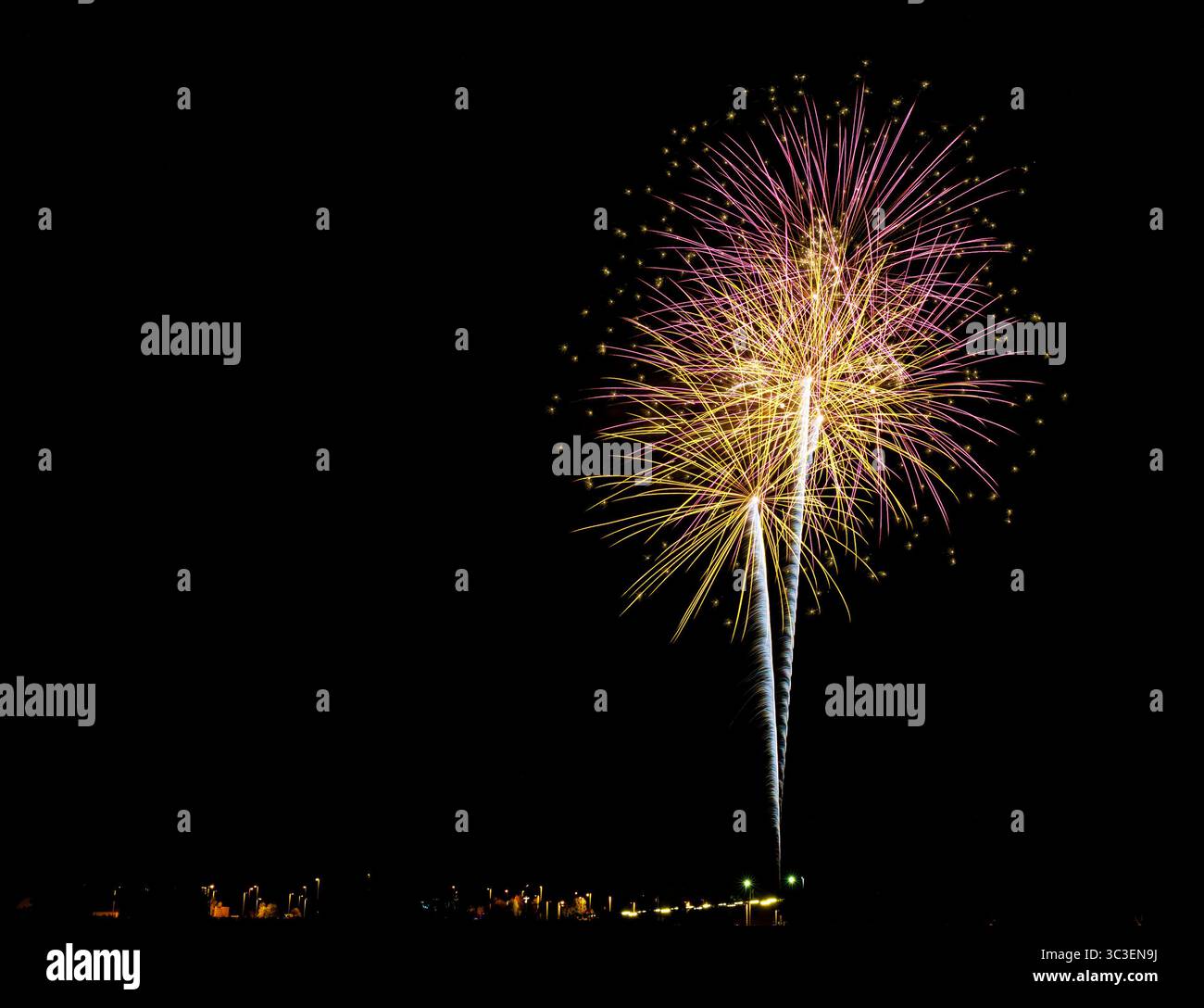 Feux d'artifice colorés formant des palmiers contre un ciel nocturne Banque D'Images