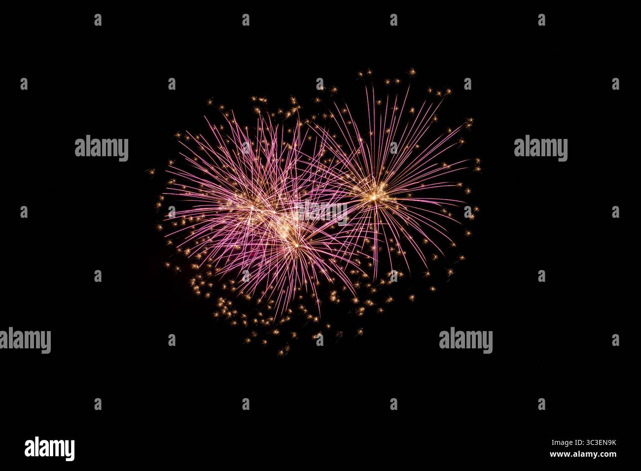 Palmiers de lumière : feux d'artifice colorés peignant le ciel nocturne Banque D'Images