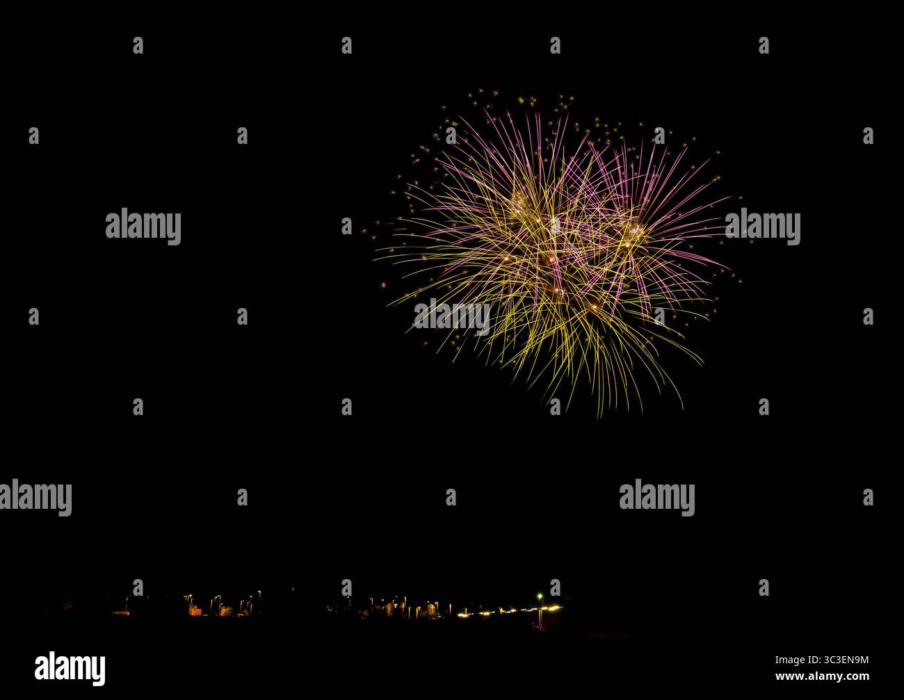 feux d'artifice colorés formant des palmiers contre un ciel nocturne Banque D'Images