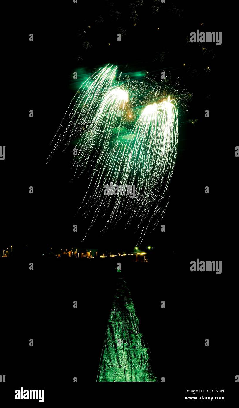 Explosions de couleur, un feu d'artifice magique dans le ciel nocturne Banque D'Images
