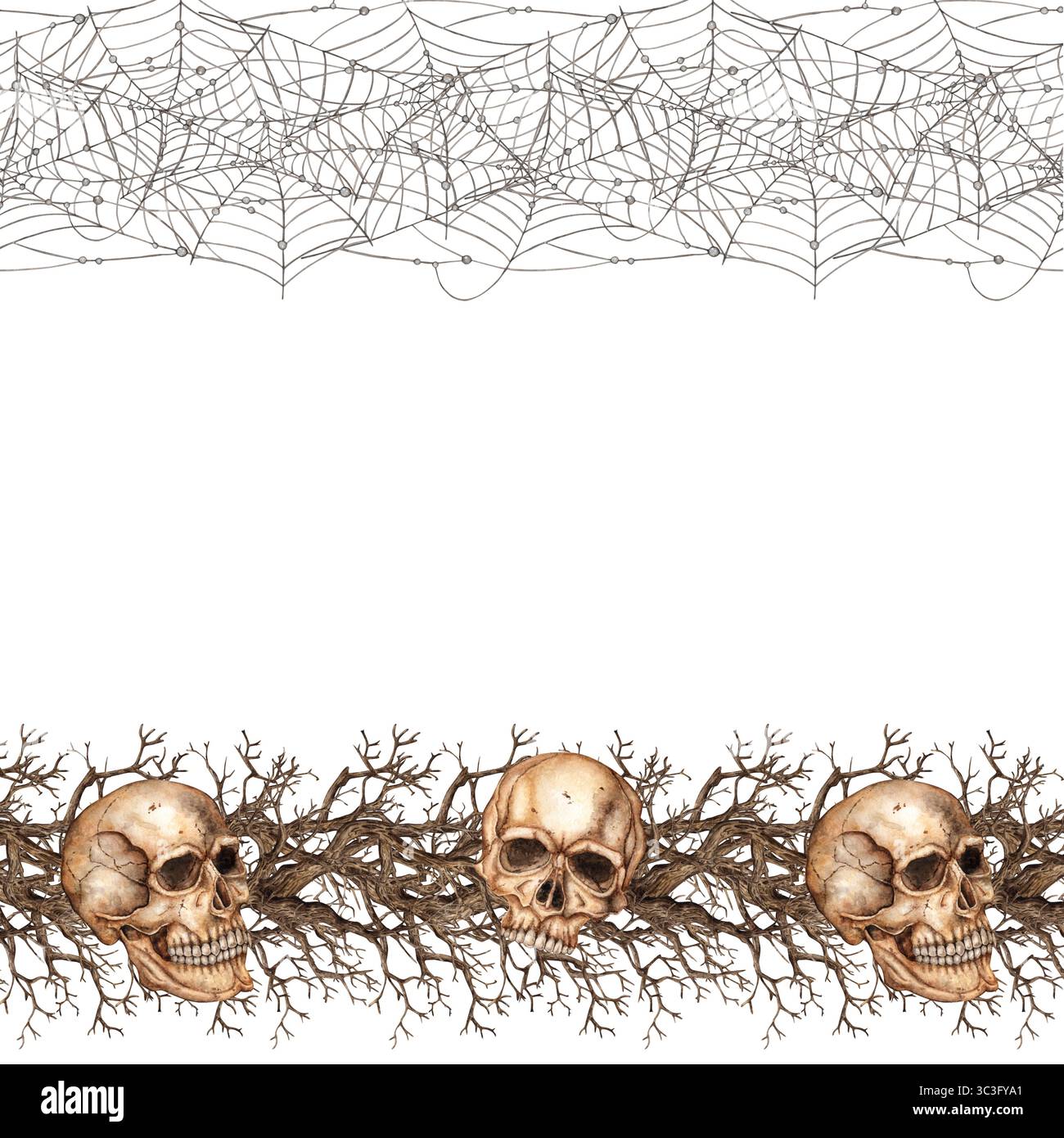 Cadre bord supérieur en toile d'araignée, bord inférieur en crânes et branches sèches, carré, avec bordures. Illustration aquarelle, dessinée à la main en gothique St Banque D'Images Cadre bord supérieur en toile d'araignée, bord inférieur en crânes et branches sèches, carré, avec bordures. Illustration aquarelle, dessinée à la main en gothique St Banque D'Images