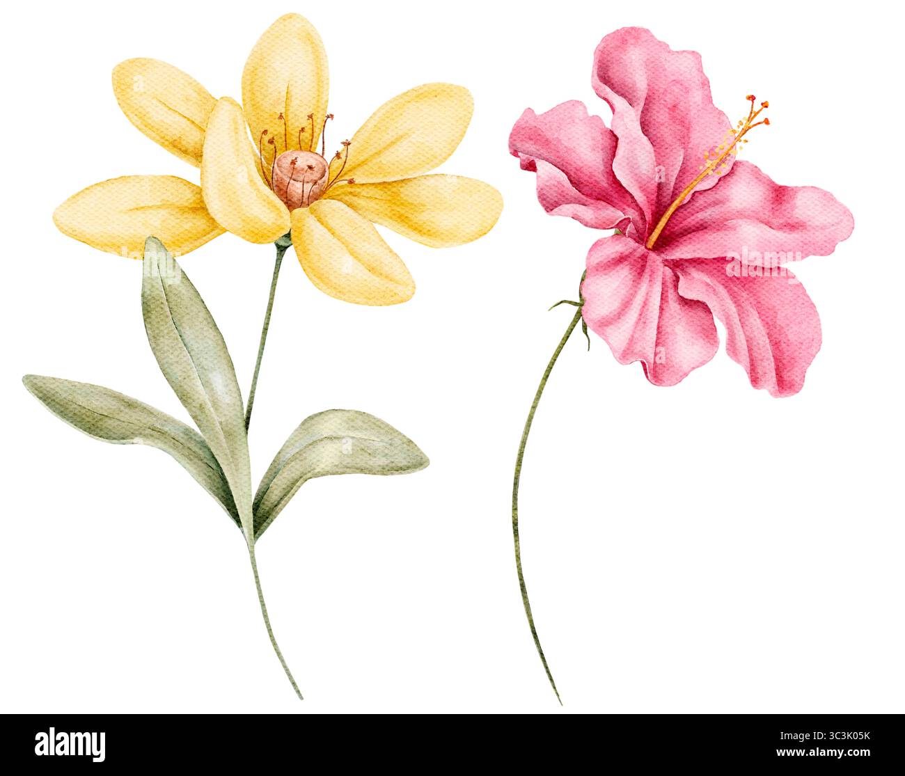 Clipart floral aquarelle de fleur jaune et un hibiscus rose avec des feuilles vertes douces isolées sur blanc. Peint à la main avec des tons doux, adapté pour c Banque D'Images