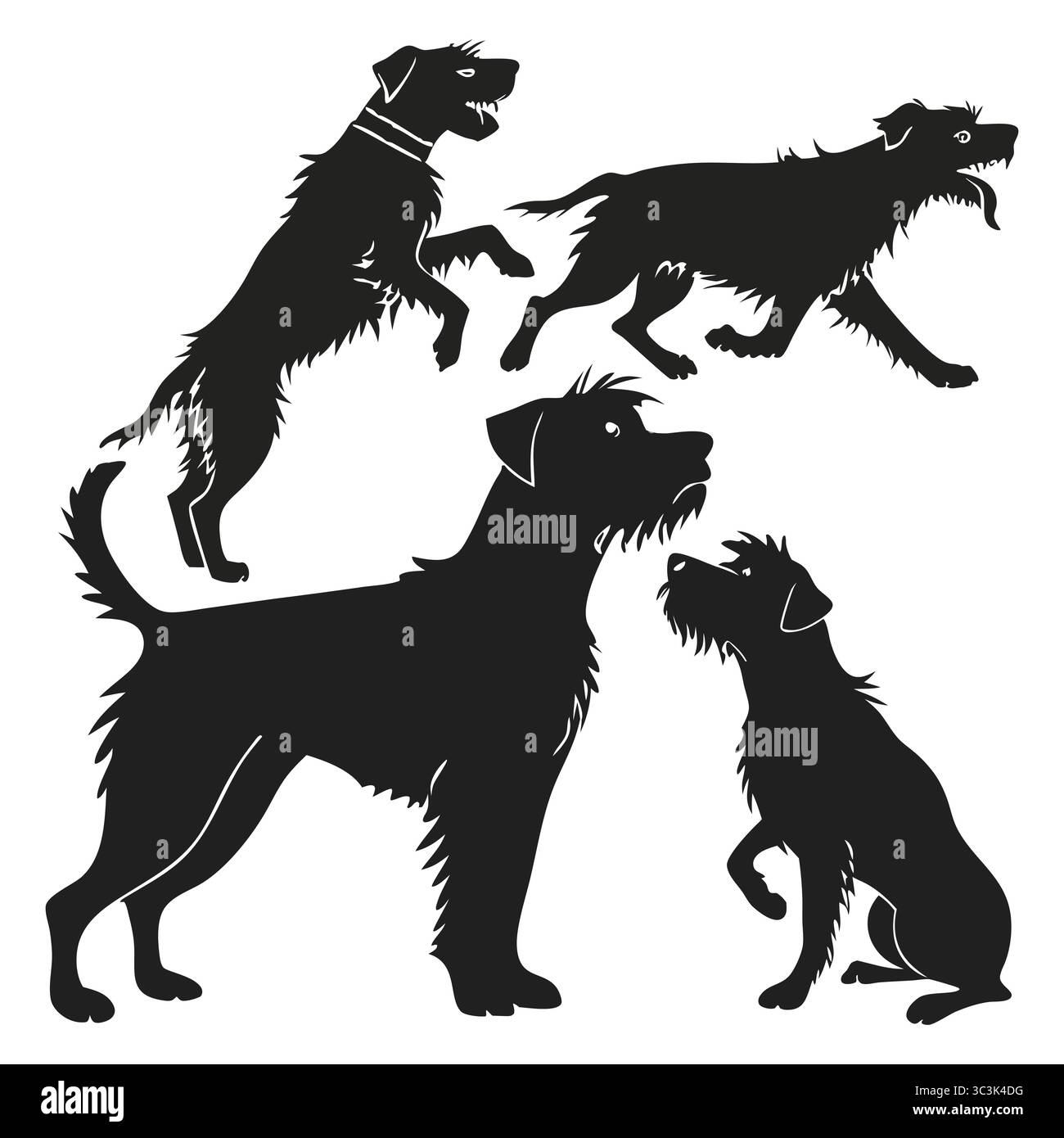 Silhouettes de chiens Affenpinscher dans diverses poses sur fond blanc Illustration de Vecteur Silhouettes de chiens Affenpinscher dans diverses poses sur fond blanc Illustration de Vecteur