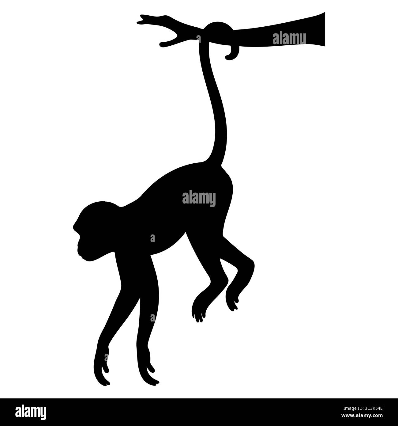 Silhouette de singe suspendue par sa queue Illustration de Vecteur