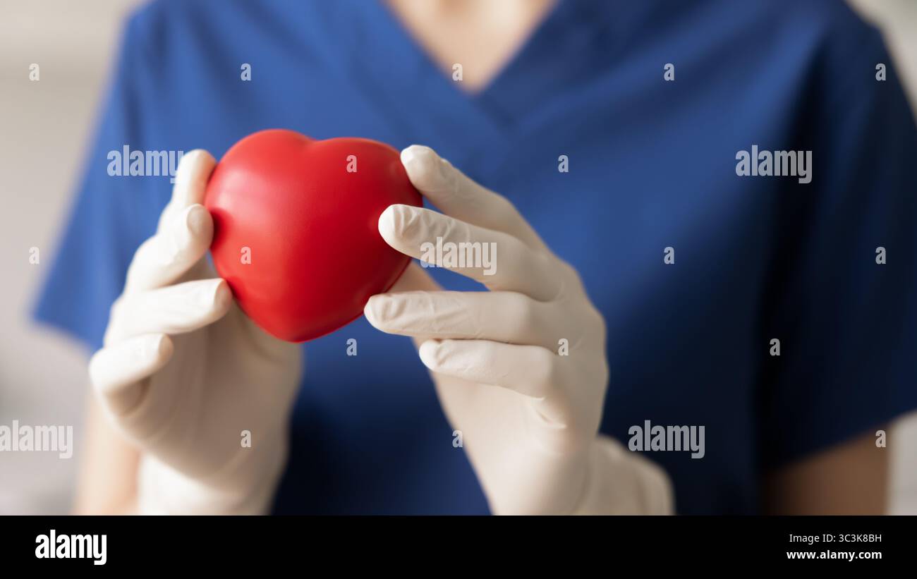 Mains du médecin cardiologue dans des gants en caoutchouc tenant le coeur rouge Banque D'Images