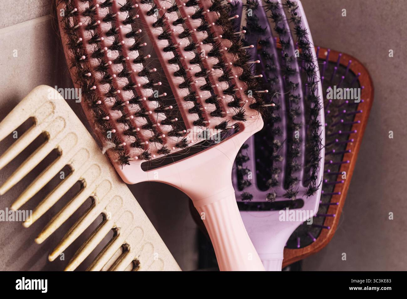 Brosses à cheveux et peignes. Ensemble d'outils de toilettage en plastique sur fond mou. Gros plan sur les accessoires de beauté de tous les jours. Concept de soins capillaires hygiène personnelle. Banque D'Images