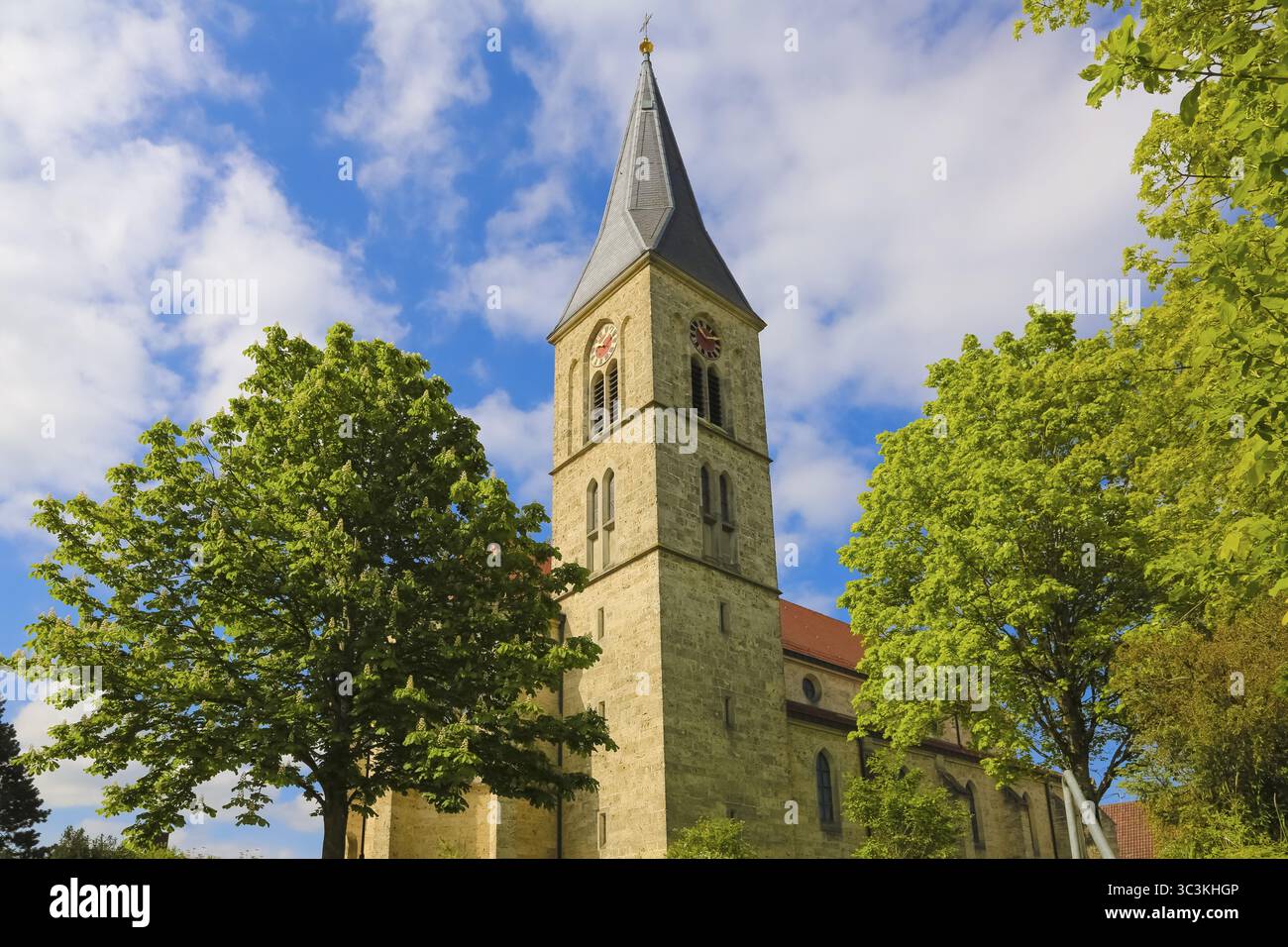 Martinus, église catholique, lieu de culte, édifice sacré, tour de l'église, horloge, croix, bâtiment religieux, Dotternhausen, Zollernalbkreis, Bade Banque D'Images
