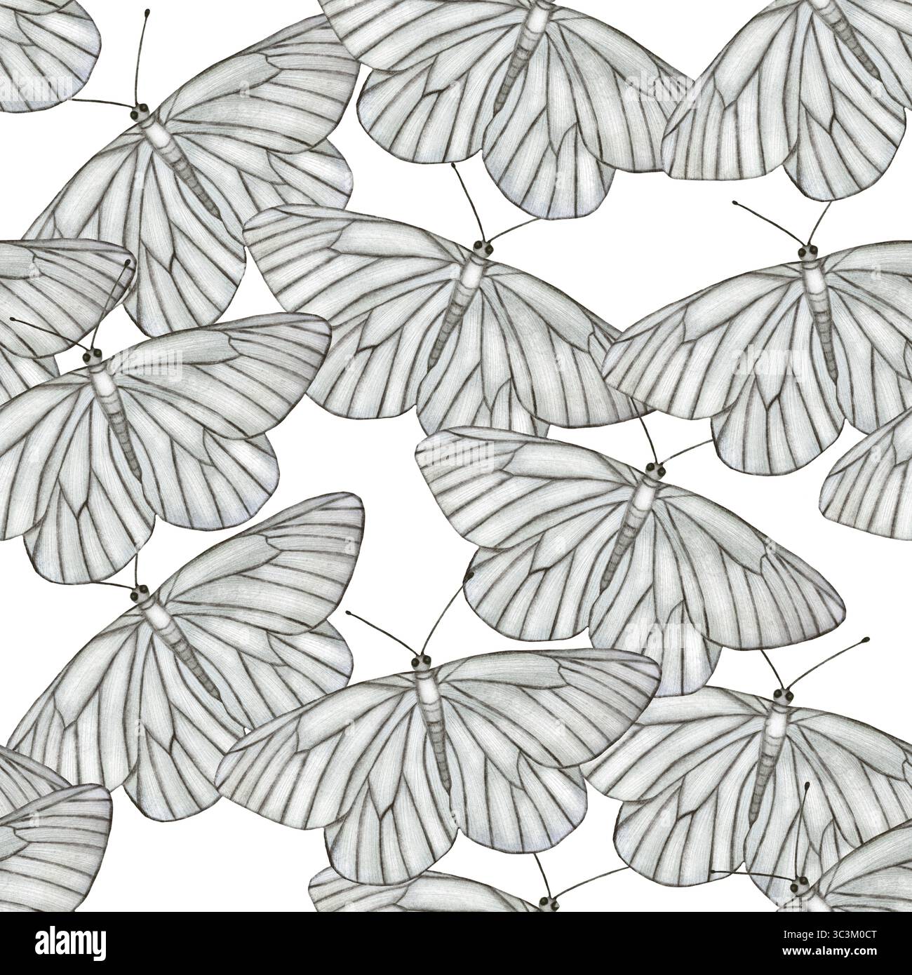 Motif aquarelle sans couture de papillons blancs en vol sur un fond blanc. Délicat et éthéré, parfait pour les conceptions de printemps, invitatio de mariage Banque D'Images