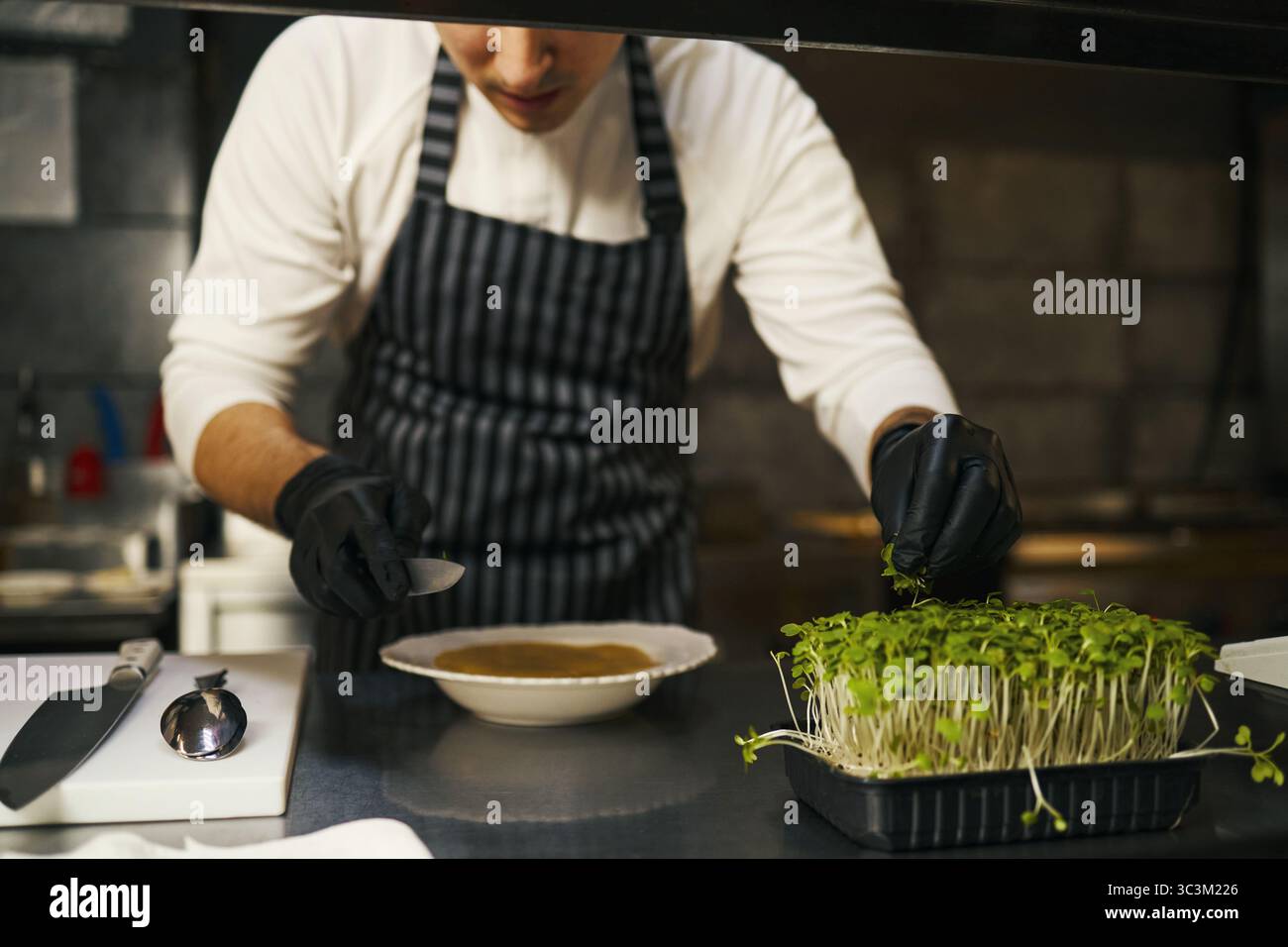 Jeune homme caucasien adulte portant un tablier rayé et des gants noirs préparant un plat gastronomique dans une cuisine professionnelle, organisant des microgreens frais sur une assiette avec une attention concentrée Banque D'Images