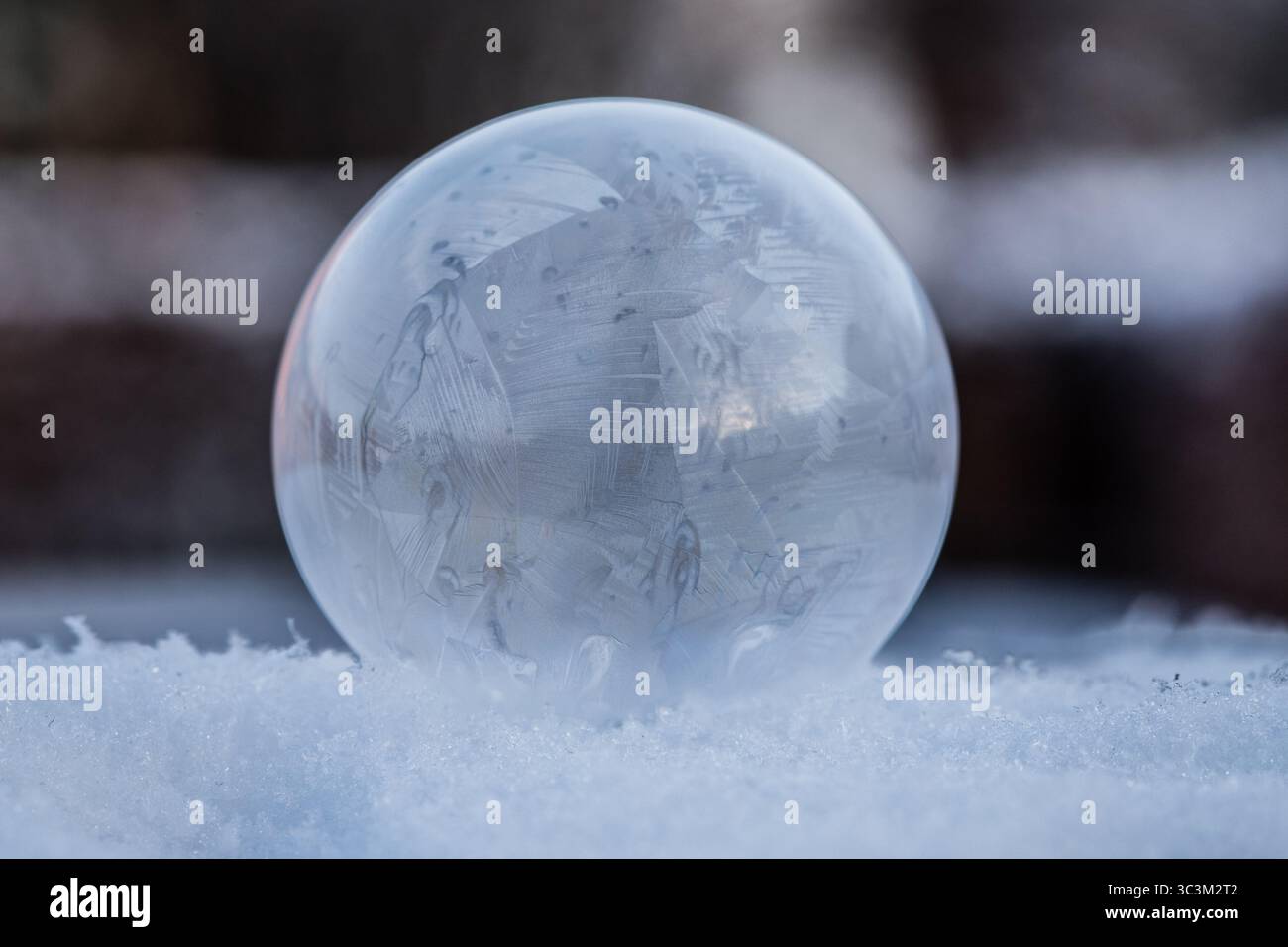 Bulle de savon gelée reposant sur la neige, motif de cristal de glace dans le froid d'hiver avec fond sombre avec espace de copie Banque D'Images