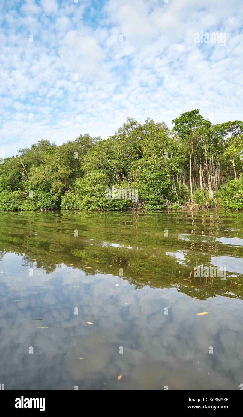 La rive de la rivière Brunei (Sungai Brunei) vue de l'eau, Brunei. Banque D'Images