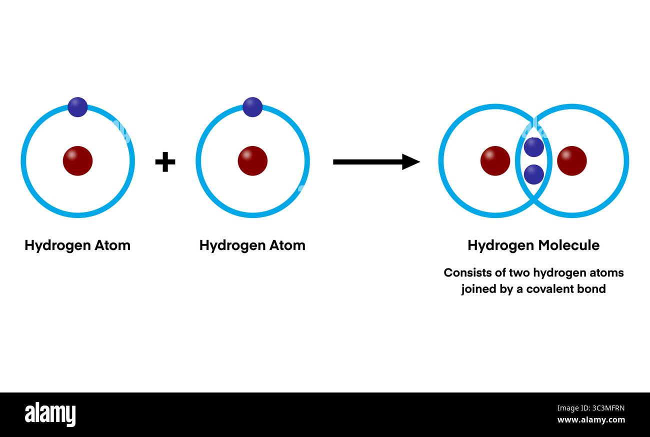 Deux atomes d'hydrogène se combinent pour former une molécule d'hydrogène par une liaison covalente, partageant des électrons pour atteindre la stabilité et créer le diatome le plus simple Banque D'Images