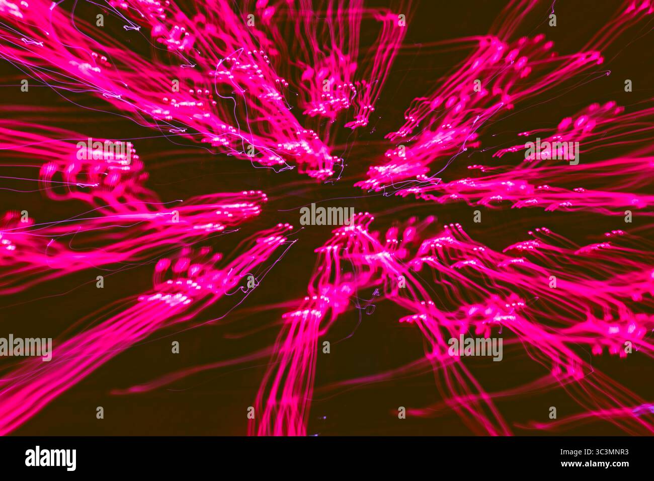 Un affichage vibrant de traînées de lumière rose capturées avec une longue exposition, créant des motifs fascinants sur un fond sombre, évoquant une sensation de mystre Banque D'Images