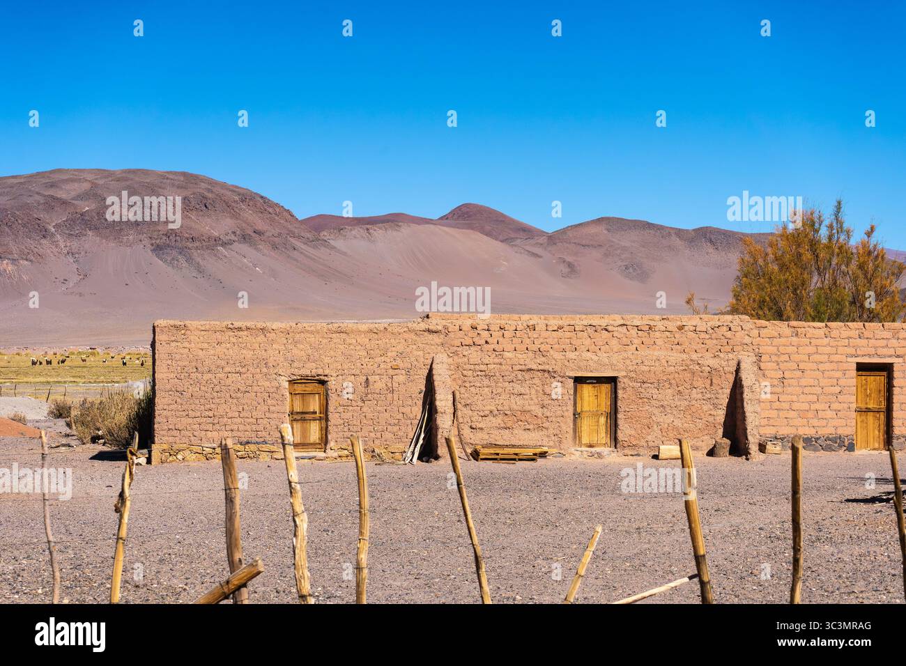 Bâtiment en brique Adobe avec des portes rustiques sous un ciel bleu clair à San Antonio de los Cobres, Salta, Argentine, au milieu du paysage aride pittoresque de la P. Banque D'Images