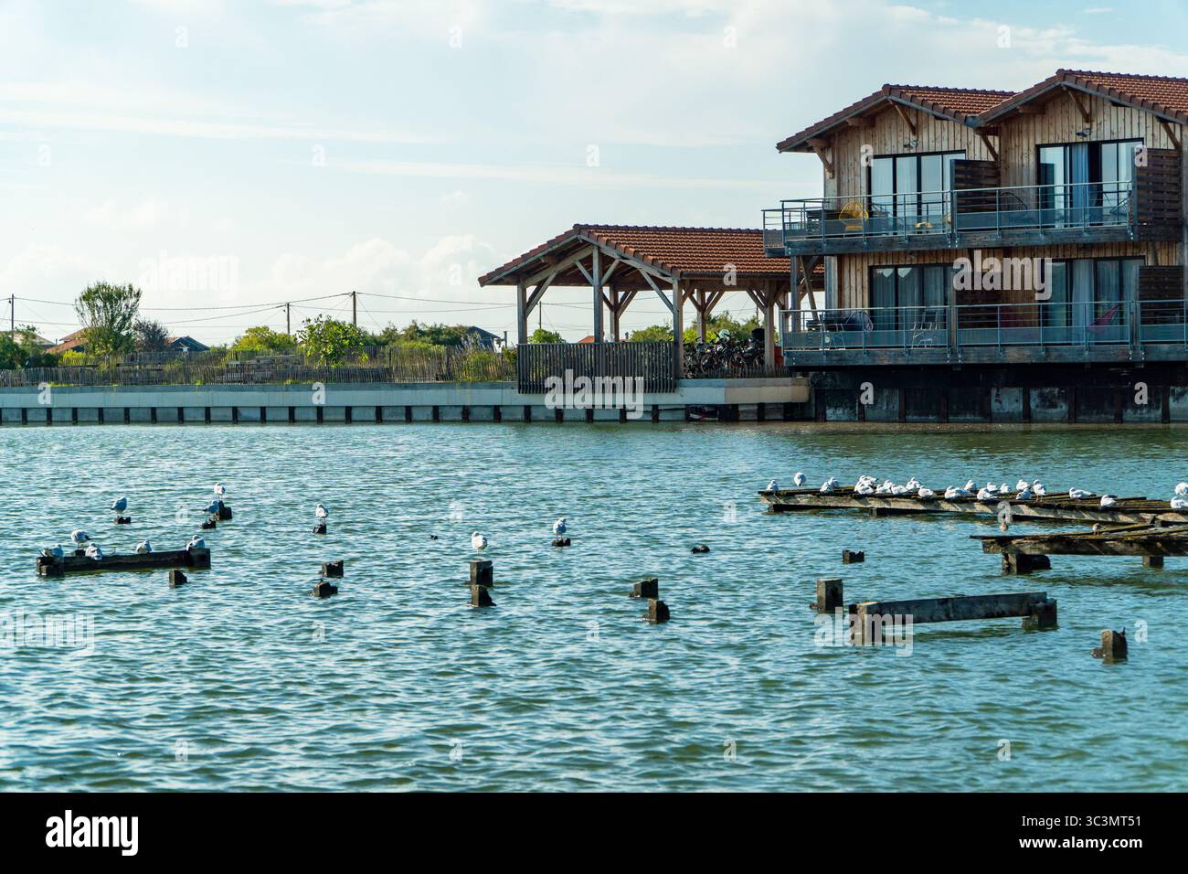 Découvrez la beauté sereine des maisons de vacances flottantes au port d'huîtres d'Arcachon. Ces hébergements uniques offrent une vue imprenable et un cadre paisible Banque D'Images
