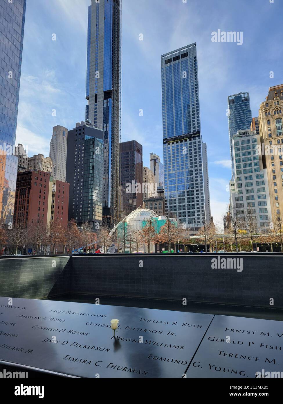 National 9/11 Memorial World Trade Center New York City, Une rose blanche commémore l'anniversaire d'une victime des attentats terroristes du 11 septembre 2001. - Image de stock capturée avec un smartphone
