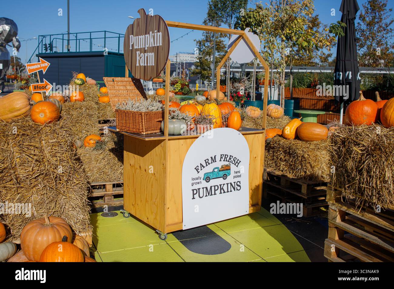 Etagère du marché du festival des citrouilles décorée de légumes, de fleurs et de foin située à Poznan, en Pologne Banque D'Images