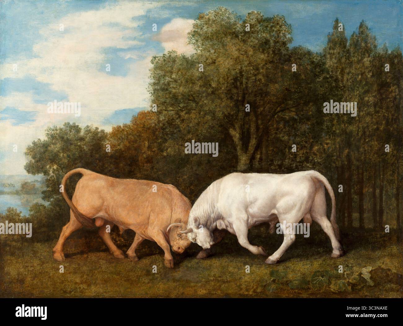 Combats de taureaux. George Stubbs. 1786. Banque D'Images