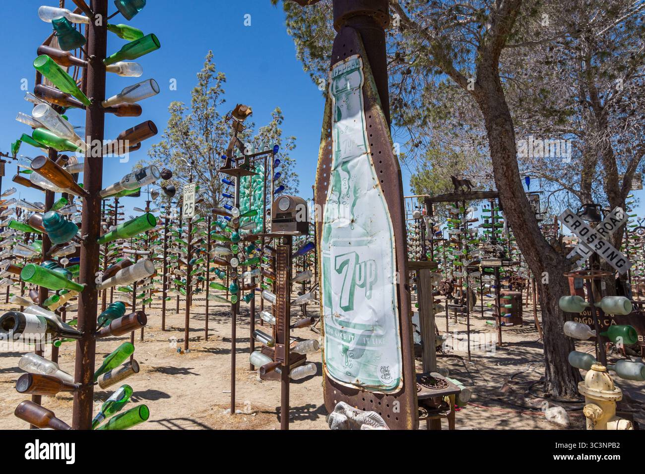 Elmer long, décédé en 2019 à l'âge de 72 ans, a créé ce ranch de bouteilles, montant la collection de bouteilles de son père décédé sur des arbres métalliques soudés. Banque D'Images
