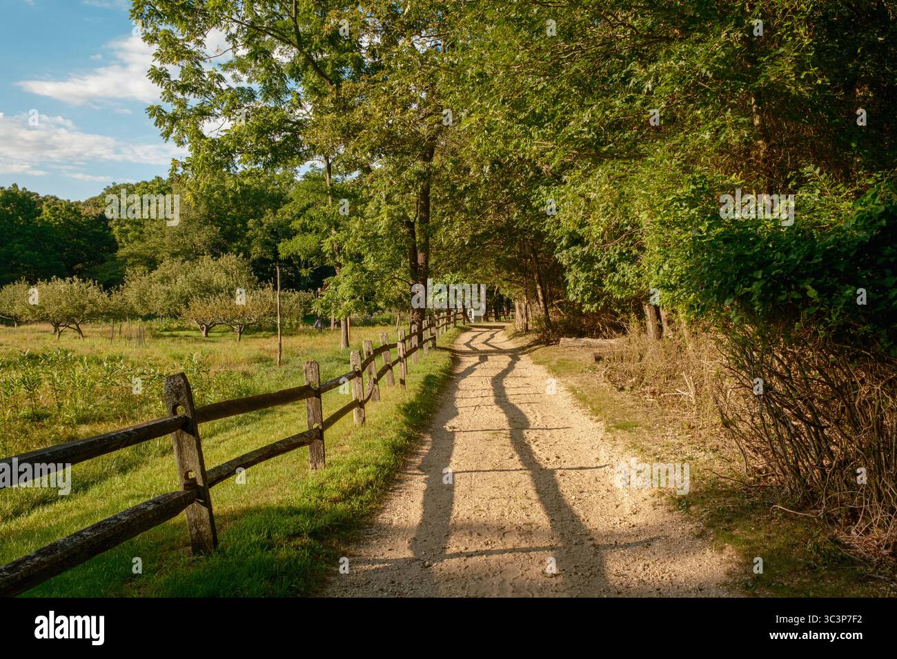 Sentier de la réserve naturelle de Hoyt Farm, Commack, New York Banque D'Images