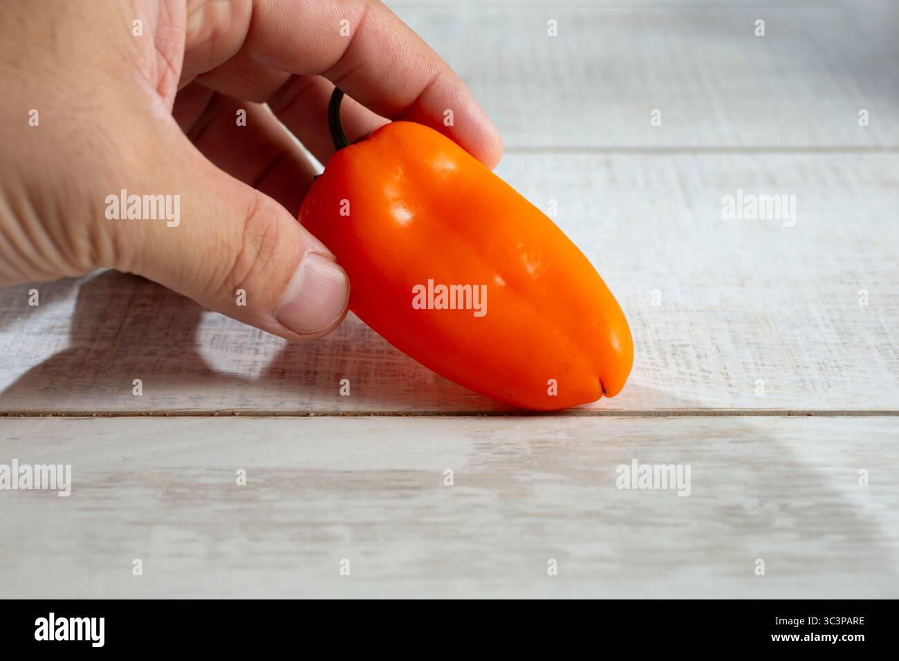 Une vue d'une main tenant un poivron orange. Banque D'Images