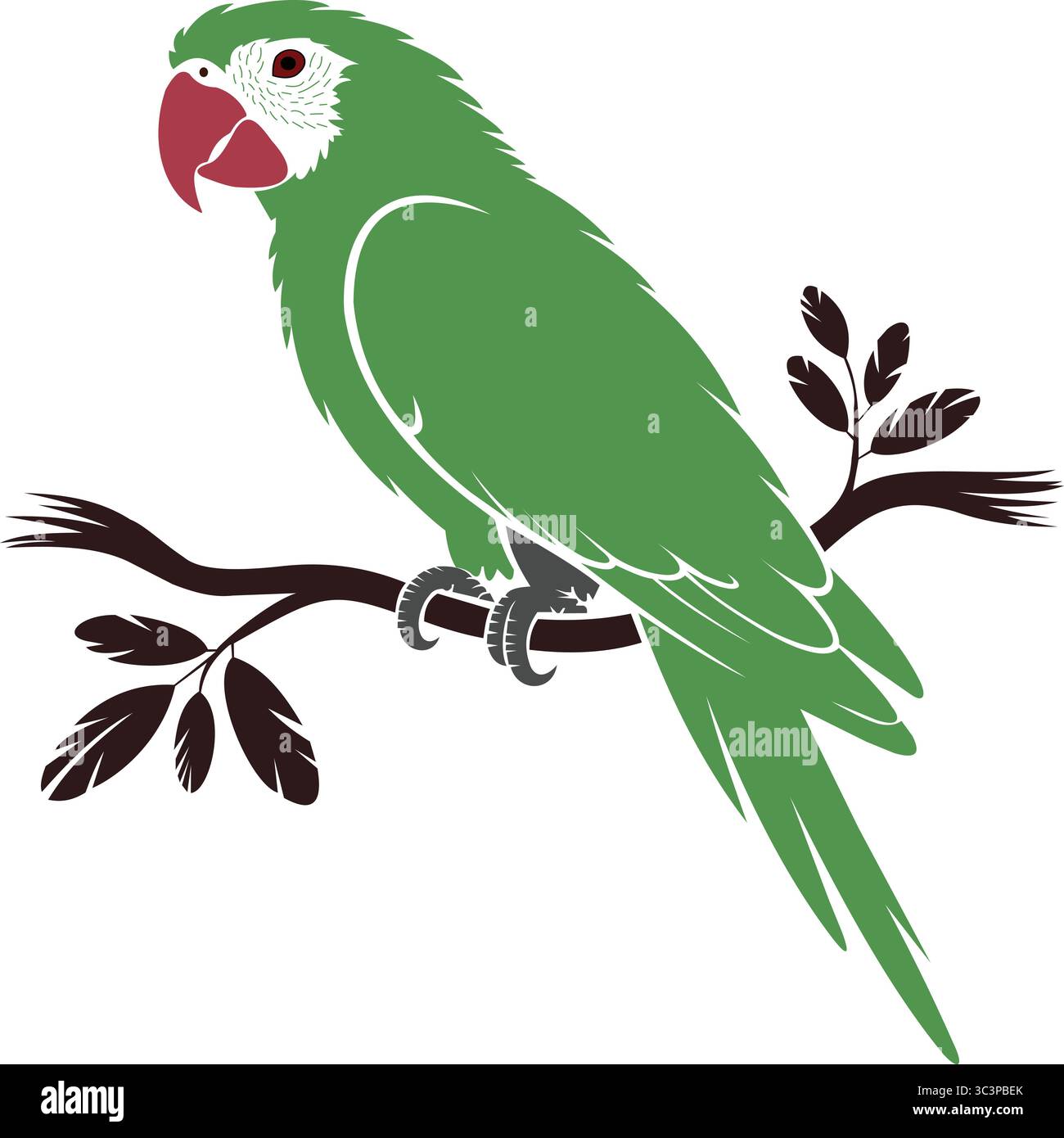 'Perroquet coloré sur une branche' Illustration de Vecteur