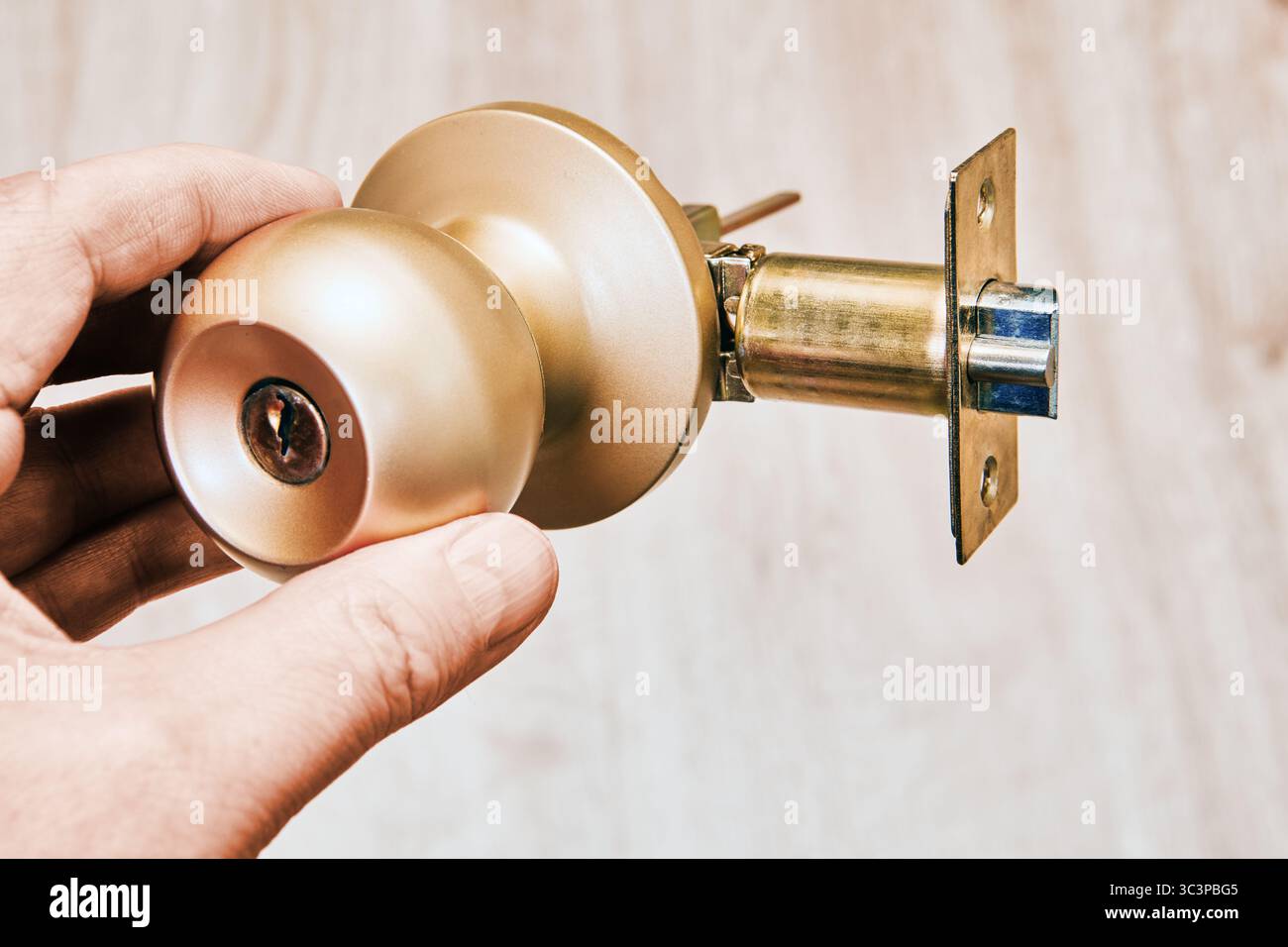 Le mécanisme de verrouillage de porte avec verrou cylindrique et poignée en laiton présente un travail métallique complexe, un système de verrouillage sécurisé, une conception de fonctionnement en douceur. Banque D'Images