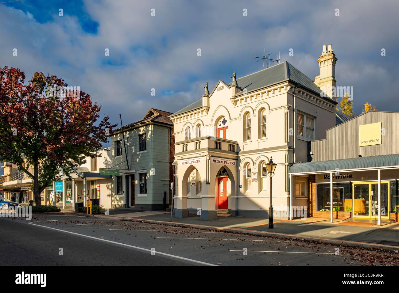 Construit en 1869, l'ancien Mechanics Institute est un bâtiment victorien de style gothique libre avec des kangourous sur le toit à Yass, Nouvelle-Galles du Sud, Australie Banque D'Images