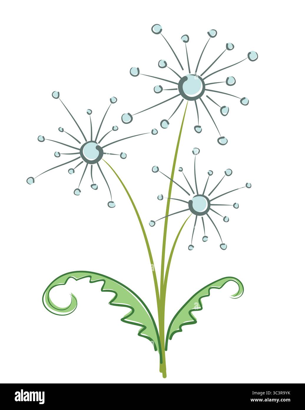 Un bouquet de pissenlits des champs en fleurs. Illustration de Vecteur