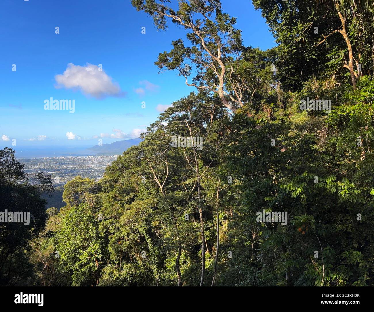 Vue sur la ville côtière de Cairns depuis Lake Morris Rd, parc national de Dinden, Queensland, Australie - Image de stock capturée avec un smartphone