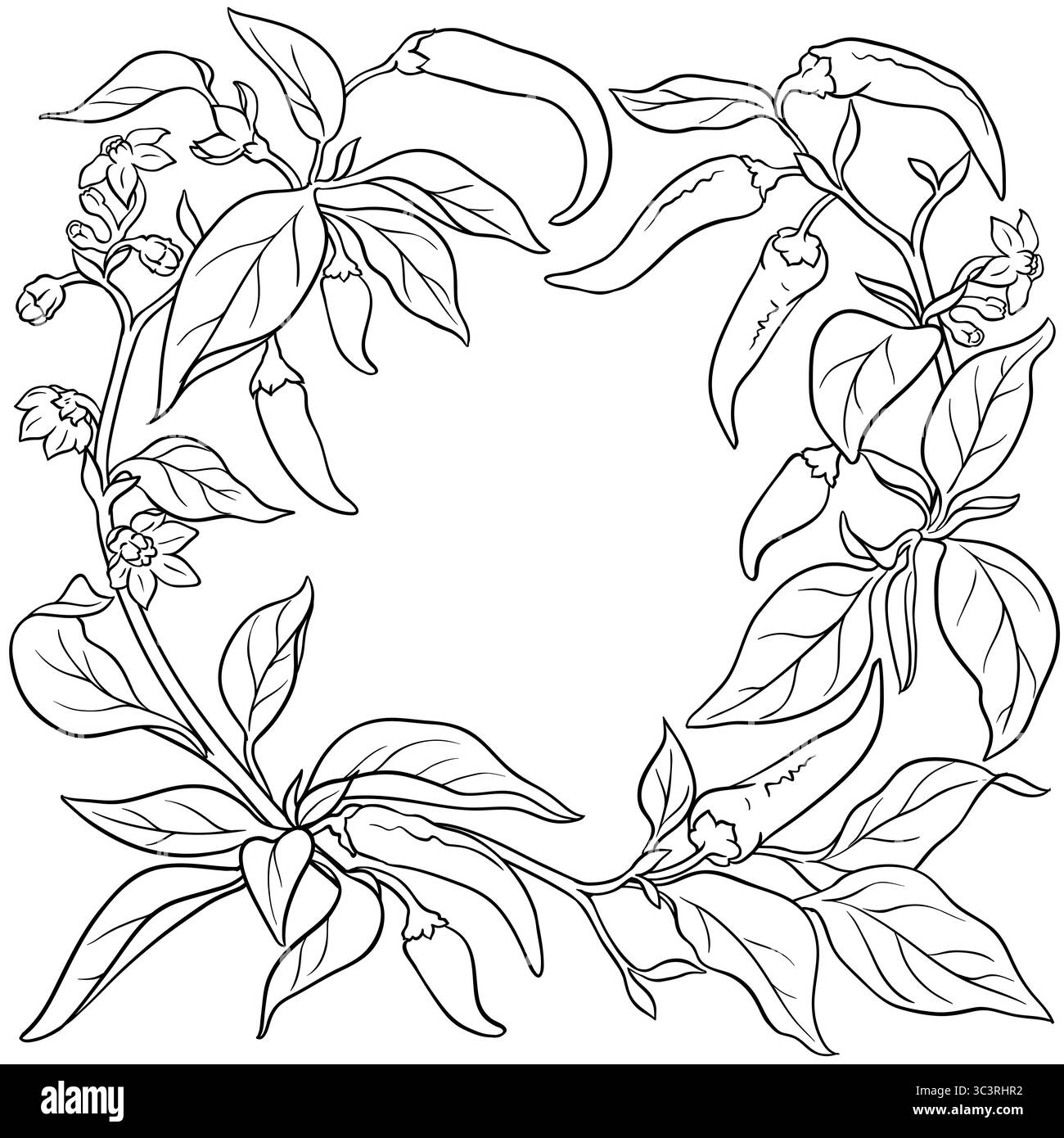 Branche de poivre de Cayenne avec cadre de contour de fruits. Illustration de Vecteur