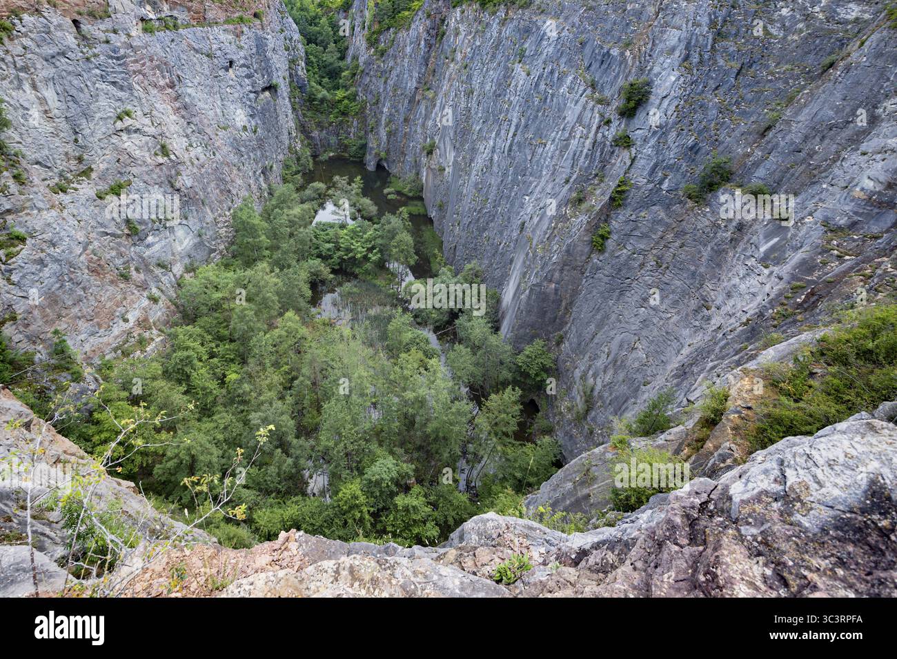 Gorge profonde avec des parois rocheuses entourées de verdure luxuriante dans une région reculée, Moina, district de Beroun, République tchèque Banque D'Images
