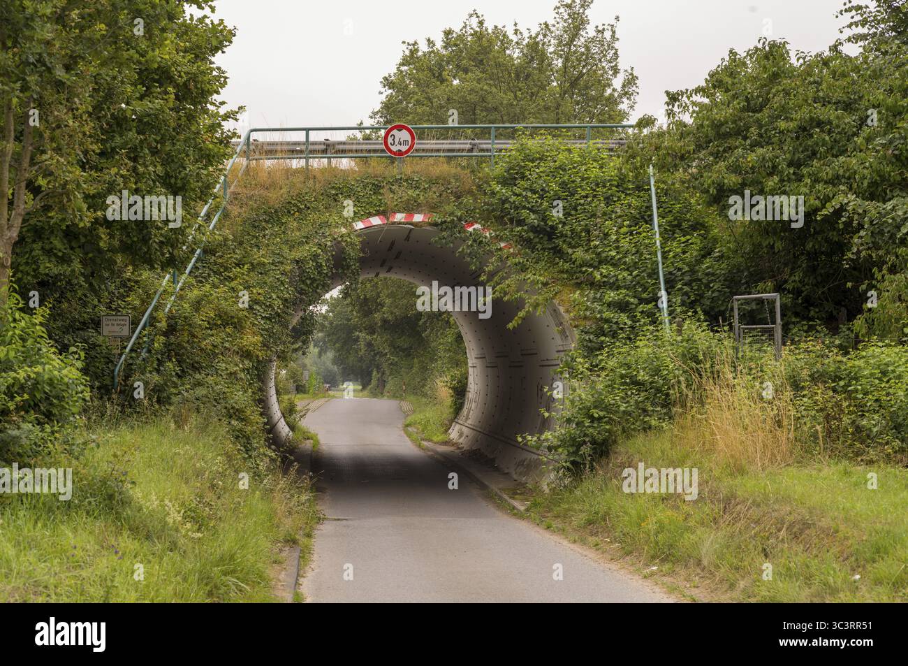 Route asphaltée passant sous un court pont couvert de plantes, avec un panneau de limite de hauteur Banque D'Images