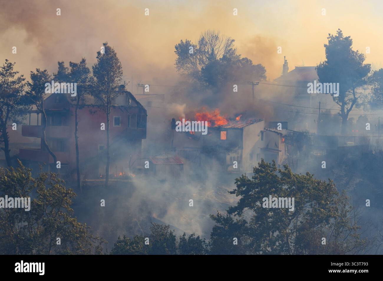 Athènes, Grèce, 26 juillet 2025. Les maisons sont vues englouties dans les flammes parmi les panaches de fumée. Un feu de forêt ravage la zone résidentielle de Kryoneri, une banlieue nord de la capitale grecque au milieu d'une vague de chaleur intense. Crédit : Dimitris Aspiotis/Alamy Live News Banque D'Images