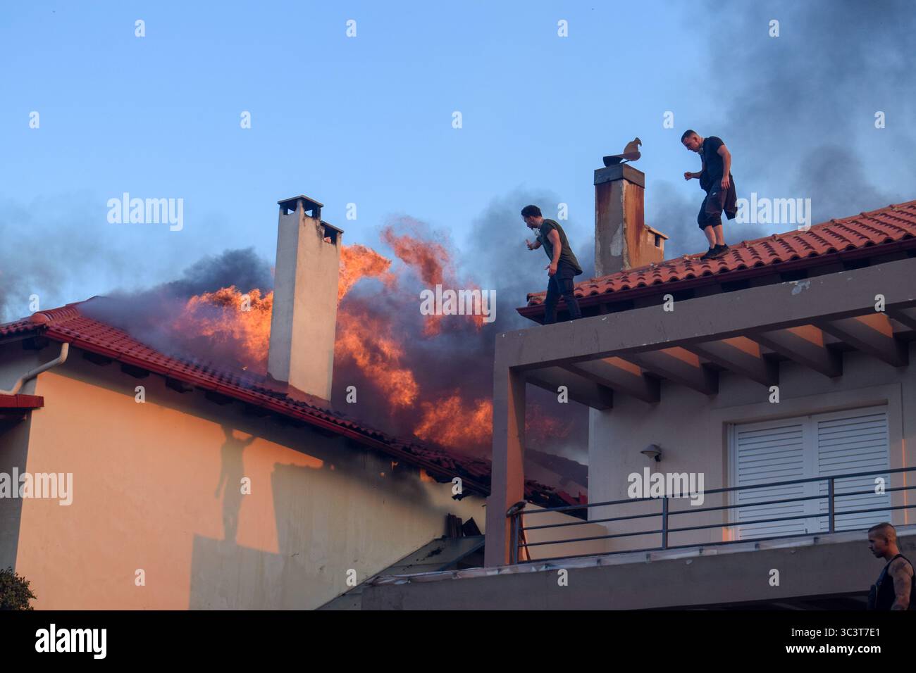 Athènes, Grèce, 26 juillet 2025. Les volontaires combattent un incendie qui brûle une maison tandis que des flammes et une épaisse fumée sortent du toit. Un feu de forêt ravage la zone résidentielle de Kryoneri, une banlieue nord de la capitale grecque au milieu d'une vague de chaleur intense. Crédit : Dimitris Aspiotis/Alamy Live News Banque D'Images