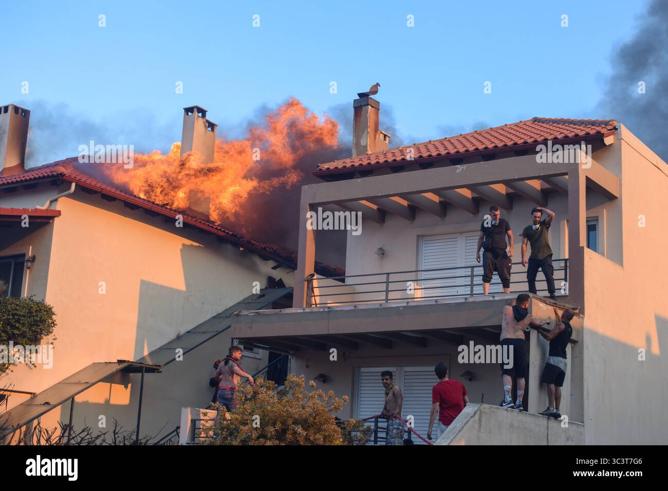 Athènes, Grèce, 26 juillet 2025. Les volontaires combattent un incendie qui brûle une maison tandis que des flammes et une épaisse fumée sortent du toit. Un feu de forêt ravage la zone résidentielle de Kryoneri, une banlieue nord de la capitale grecque au milieu d'une vague de chaleur intense. Crédit : Dimitris Aspiotis/Alamy Live News Banque D'Images