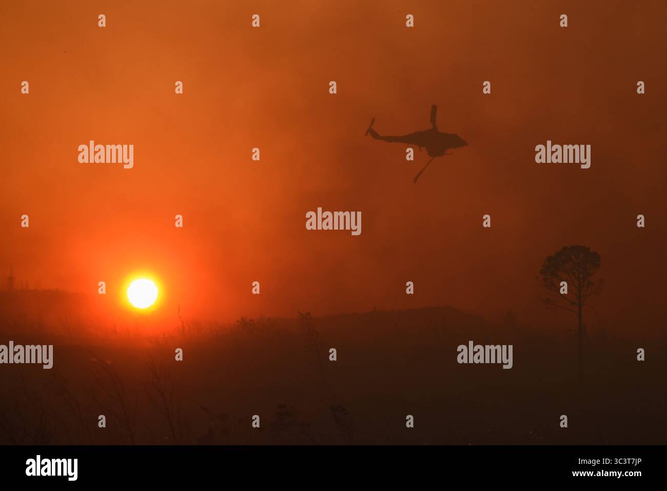 Athènes, Grèce, 26 juillet 2025. Un hélicoptère de lutte contre les incendies combat un feu de forêt parmi des panaches de fumée. Un feu de forêt ravage la zone résidentielle de Kryoneri, une banlieue nord de la capitale grecque au milieu d'une vague de chaleur intense. Crédit : Dimitris Aspiotis/Alamy Live News Banque D'Images