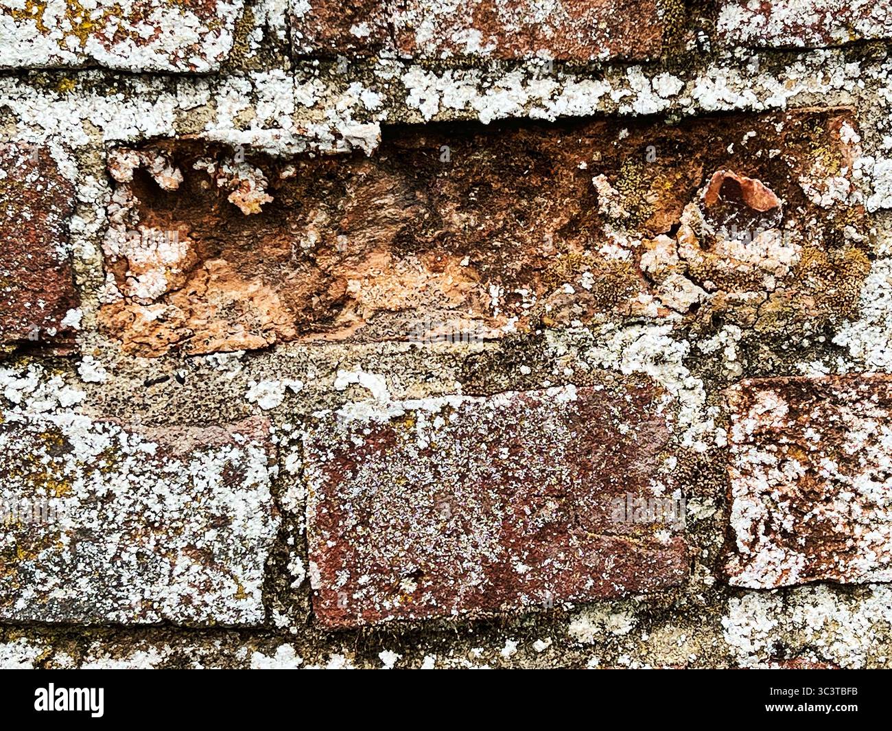 Gros plan d'un fond de mur de briques rouges avec espace de copie Banque D'Images