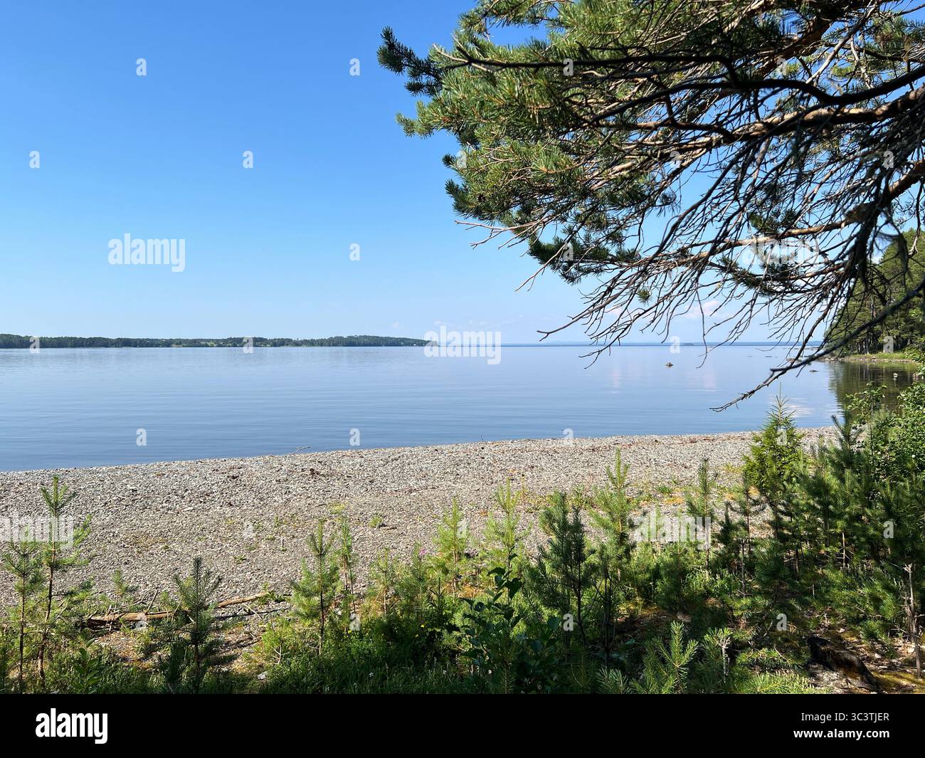 Une scène de lac paisible avec une plage de galets sous un ciel bleu clair par une journée ensoleillée. Banque D'Images