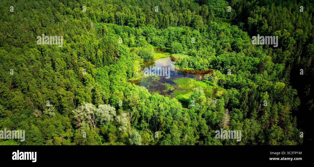 Paysage du parc national de Gauja, Lettonie Banque D'Images