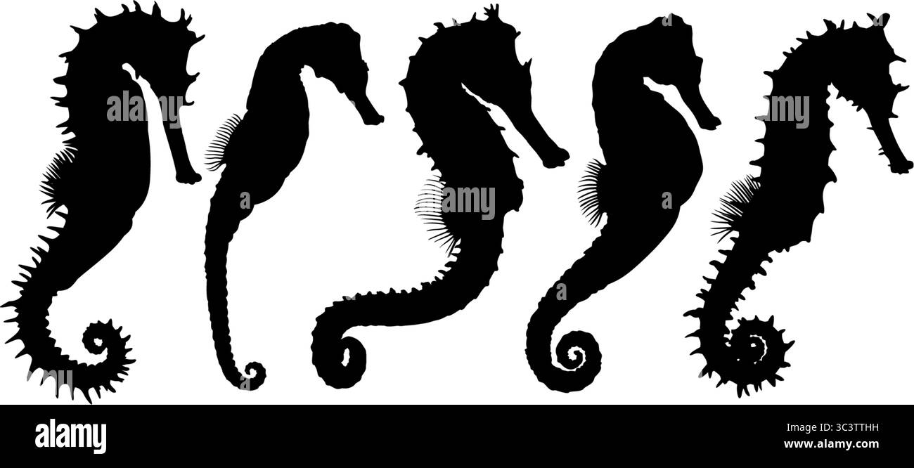Ensemble de silhouettes de différents chevaux de mer. Illustration de Vecteur